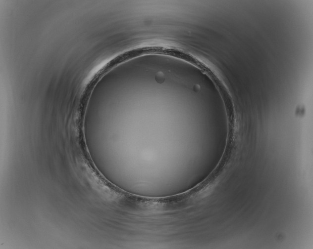 X0000110970783200906191334