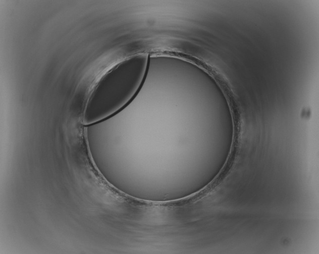 X0000110970785200906191334