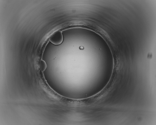 X0000110970786200906191334