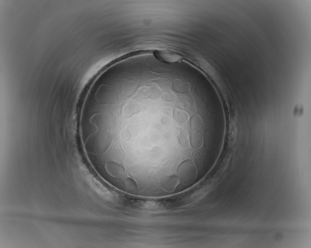 X0000110970787200906191334