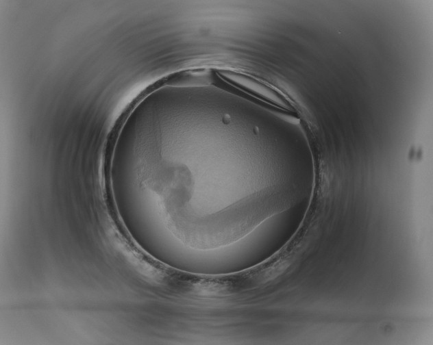 X0000110970788200906191334