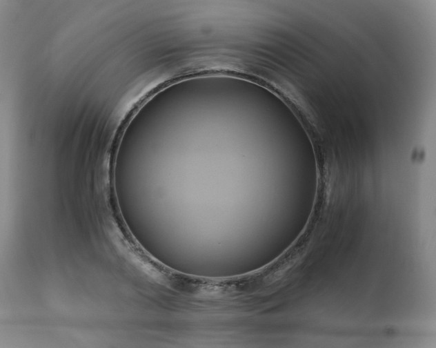 X0000110970790200906191334