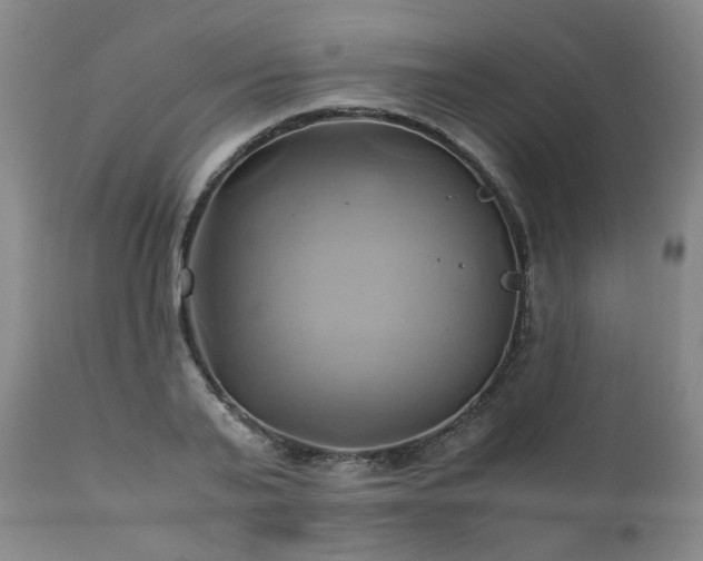 X0000110970791200906191334