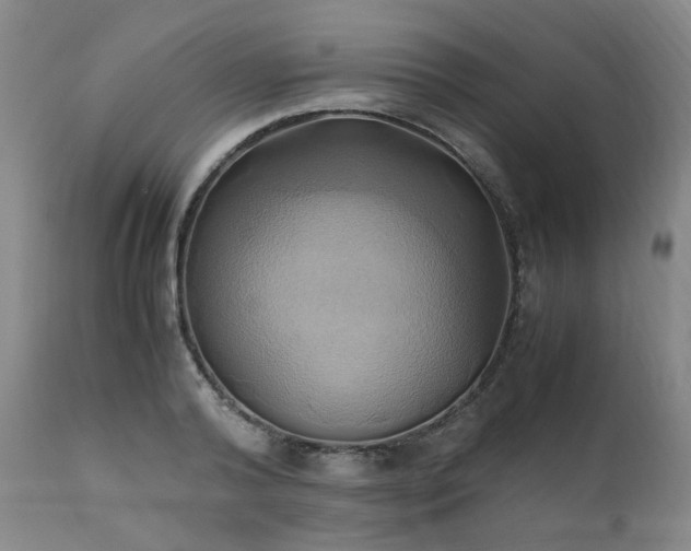 X0000110970792200906191334