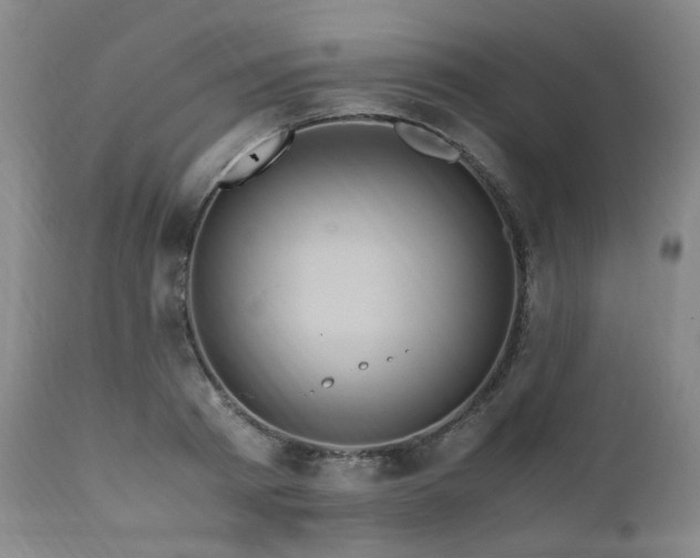 X0000110970793200906191334