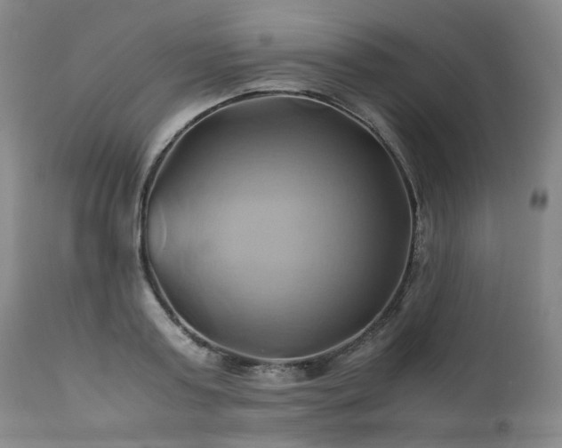 X0000110970795200906191334