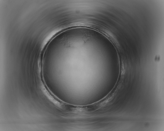 X0000110970796200906191334