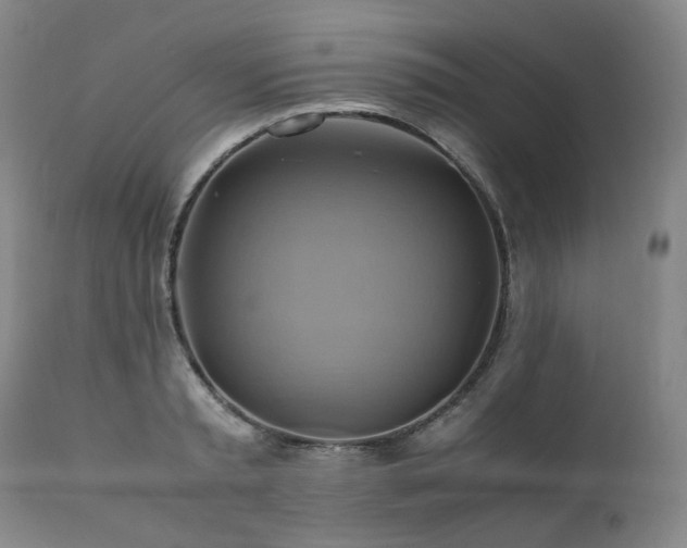 X0000110970797200906191334