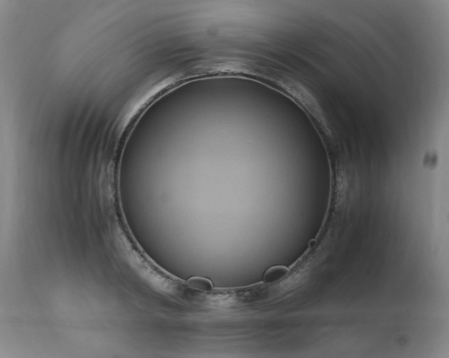 X0000110970798200906191334