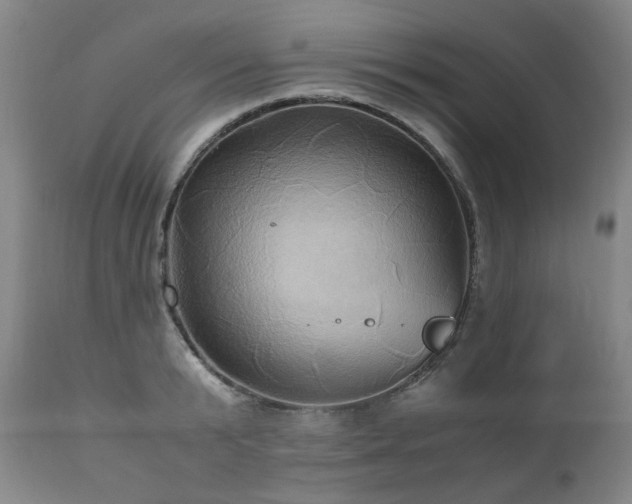 X0000110970799200906191334