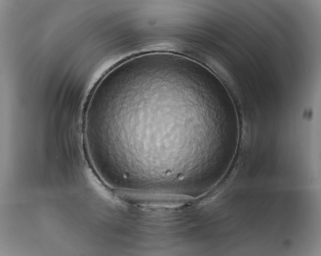 X0000110970800200906191334