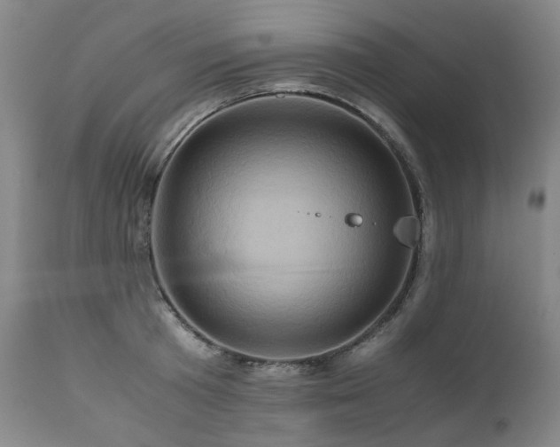 X0000110970801200906191334