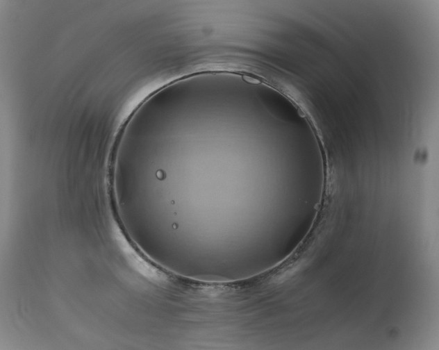 X0000110970803200906191334