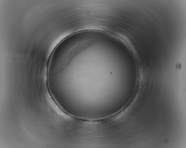 X0000110970804200906191334