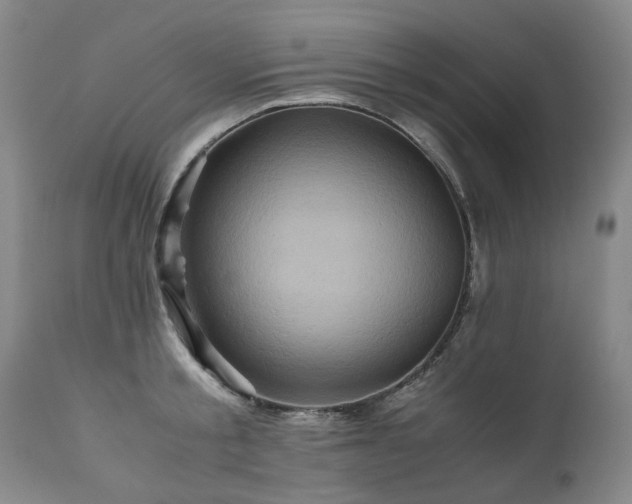 X0000110970805200906191334