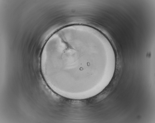 X0000110970807200906191334