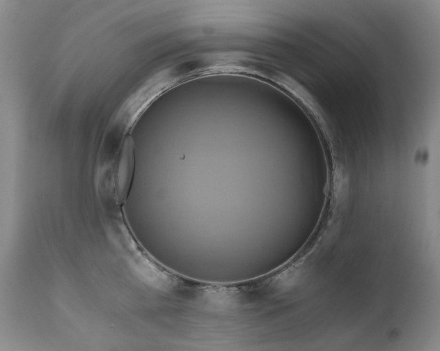 X0000110970809200906191334