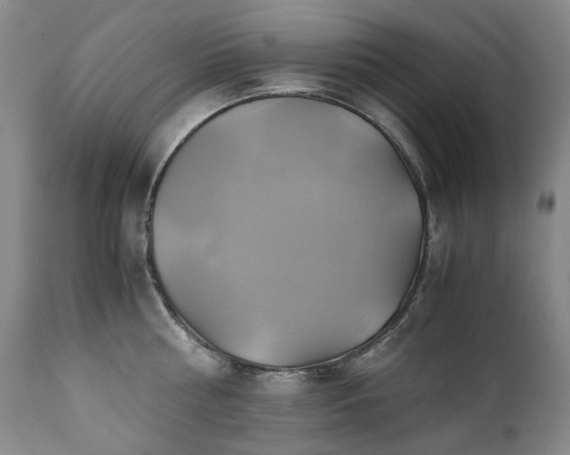 X0000110970810200906191334