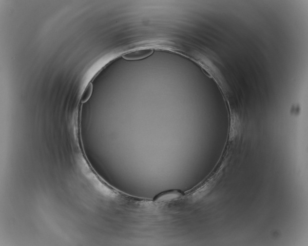 X0000110970812200906191334