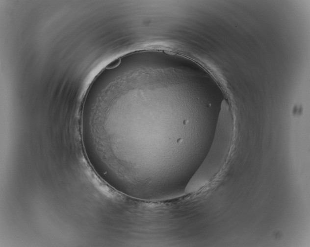 X0000110970816200906191334