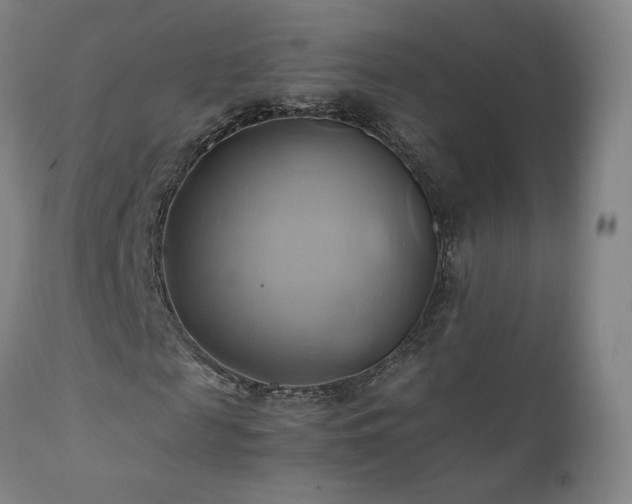 X0000110970817200906191333