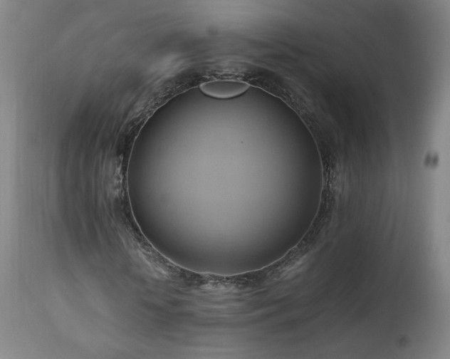 X0000110970818200906191333