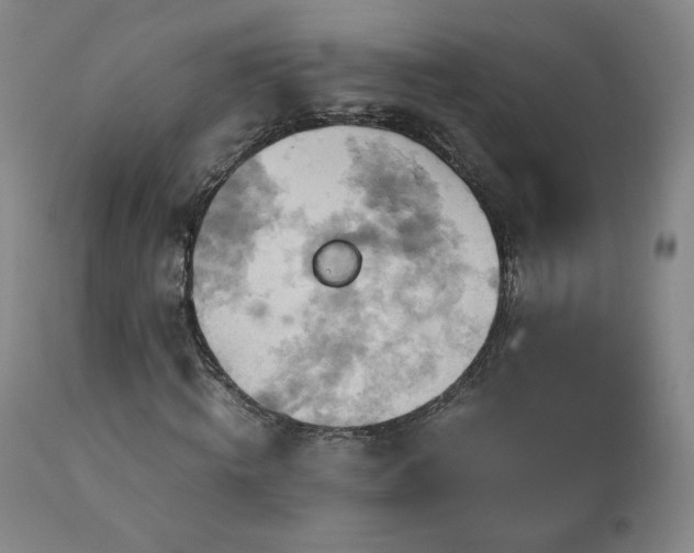 X0000110970820200906191333