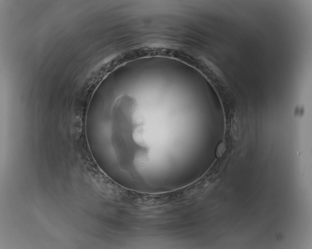 X0000110970821200906191333