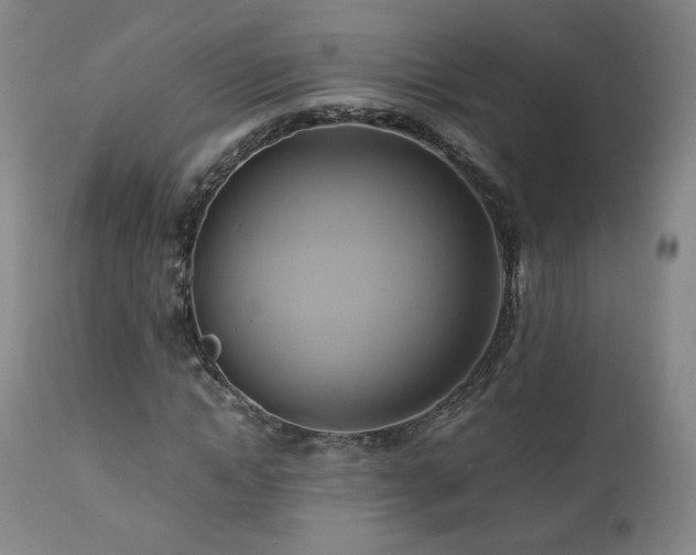 X0000110970822200906191333