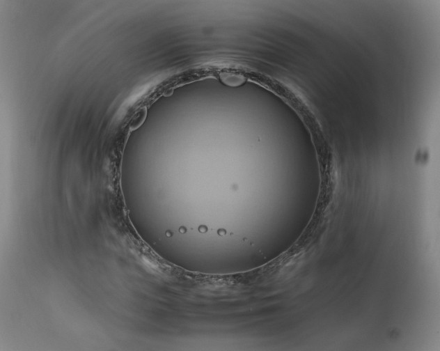 X0000110970823200906191333