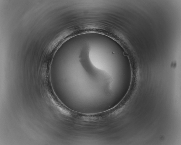 X0000110970825200906191333