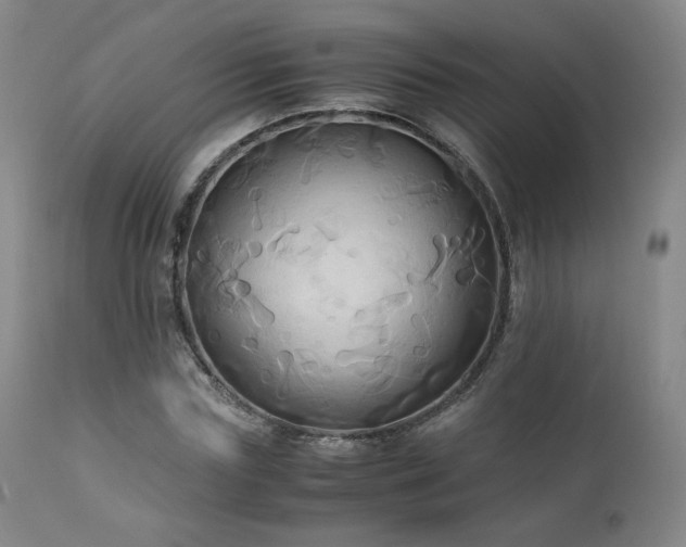 X0000110970827200906191333