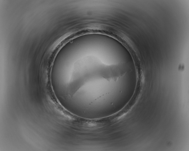 X0000110970829200906191333