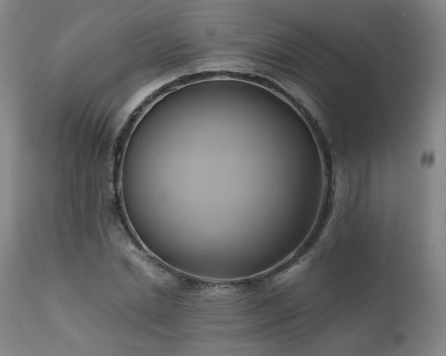 X0000110970830200906191333