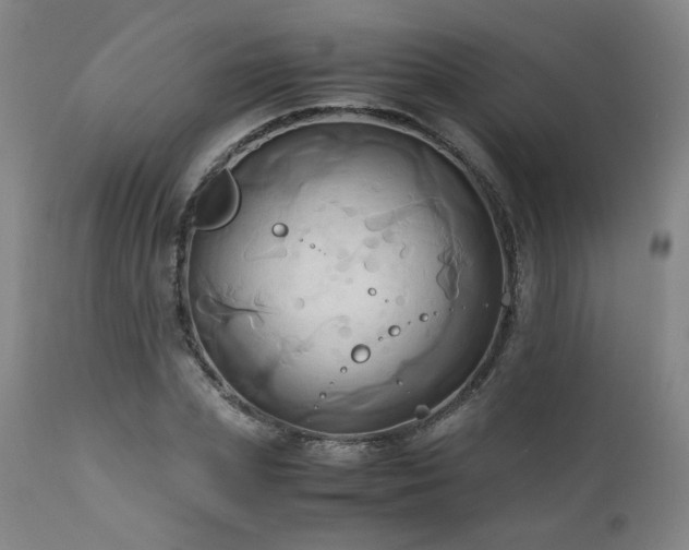 X0000110970831200906191333