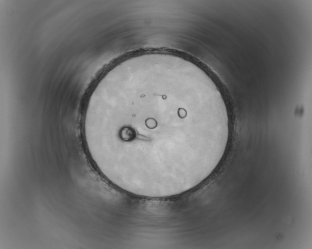 X0000110970832200906191333