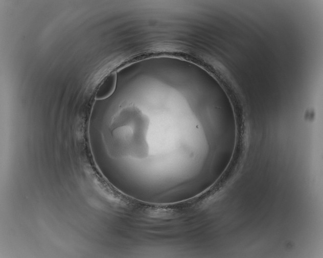 X0000110970833200906191333