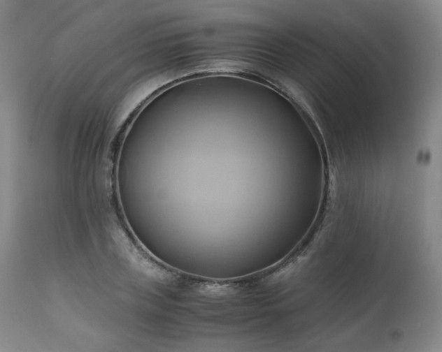 X0000110970835200906191333