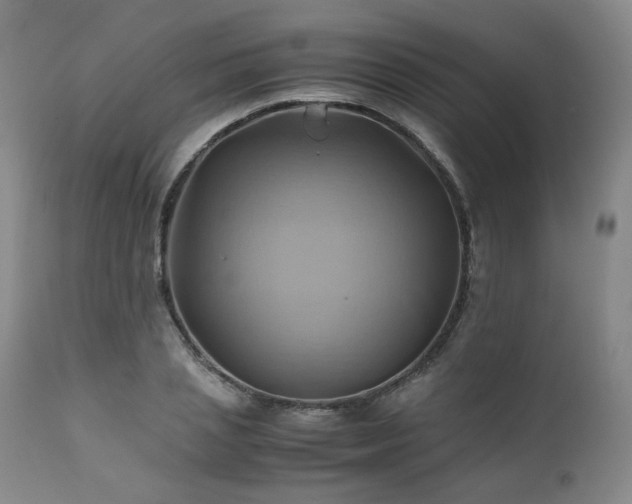 X0000110970837200906191333