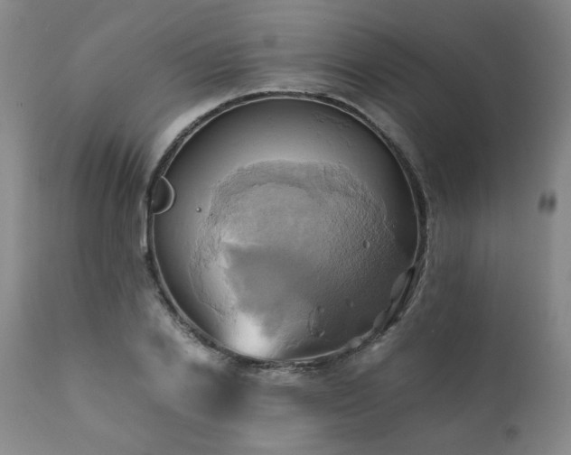 X0000110970838200906191333