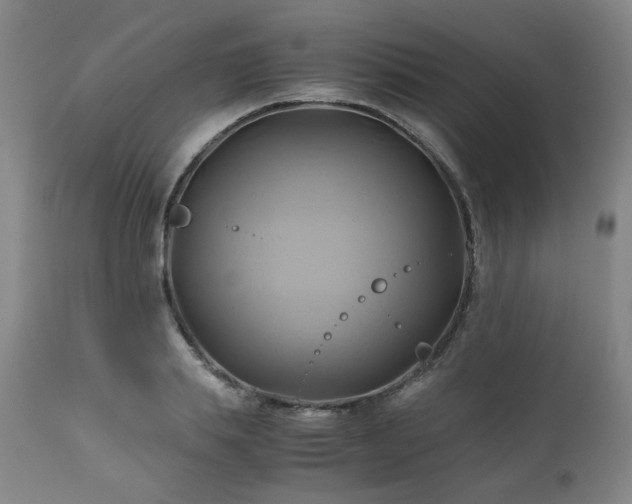 X0000110970839200906191333