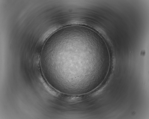 X0000110970841200906191333