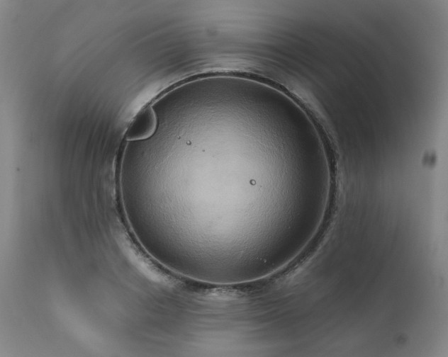 X0000110970842200906191333