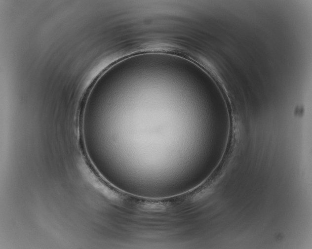 X0000110970843200906191333