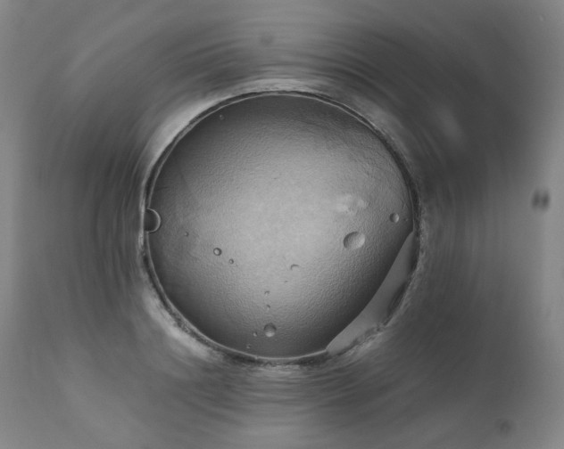 X0000110970844200906191333