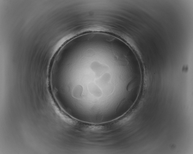 X0000110970845200906191333