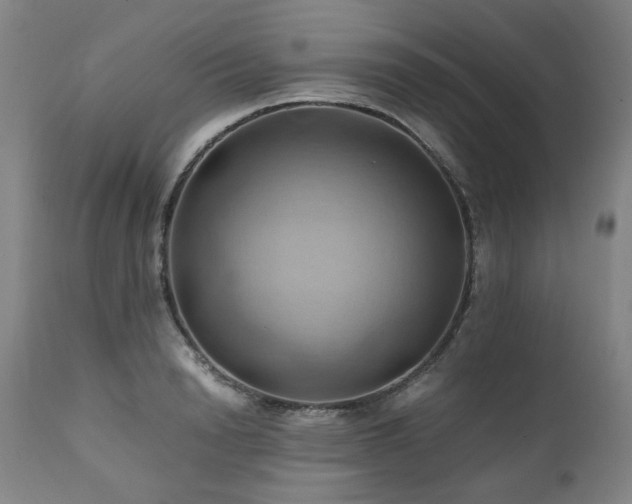 X0000110970846200906191333