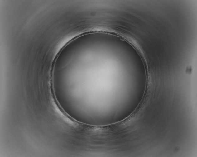 X0000110970847200906191333