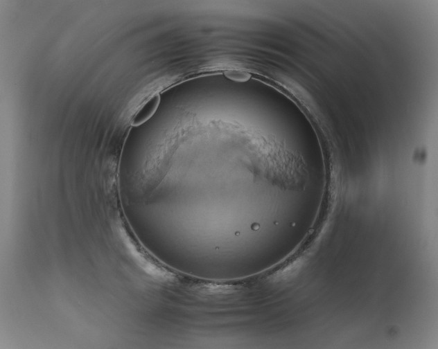 X0000110970849200906191333