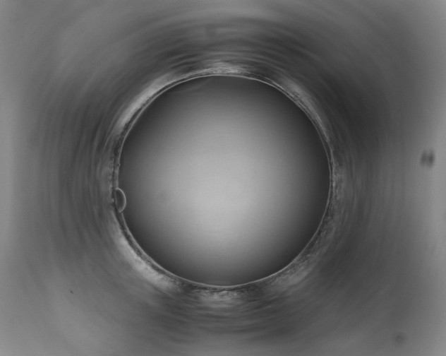 X0000110970851200906191333